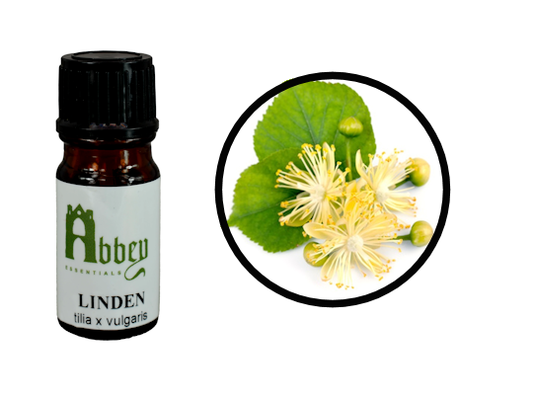 Linden Absolute-0